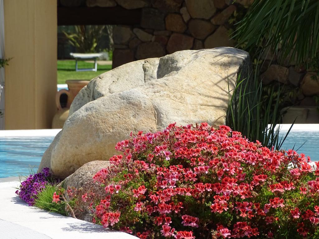 Hotel Mariposas 维拉西米乌斯 外观 照片