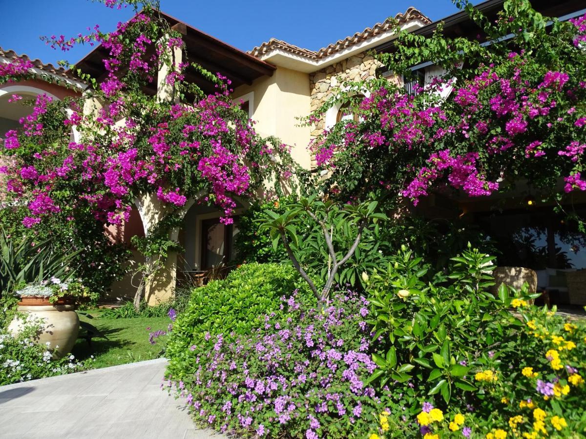 Hotel Mariposas 维拉西米乌斯 外观 照片